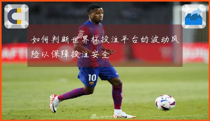 如何判断世界杯投注平台的波动风险以保障投注安全