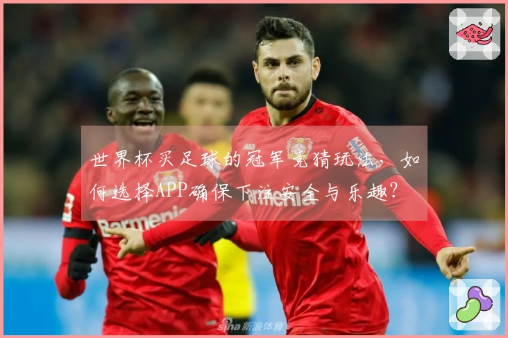 世界杯买足球的冠军竞猜玩法，如何选择APP确保下注安全与乐趣？