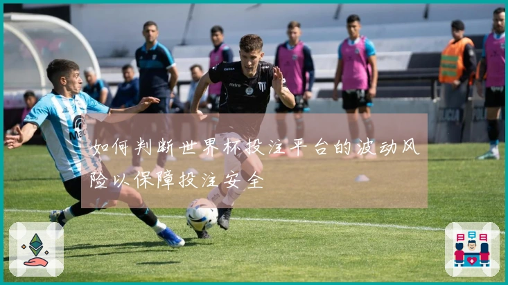 如何判断世界杯投注平台的波动风险以保障投注安全