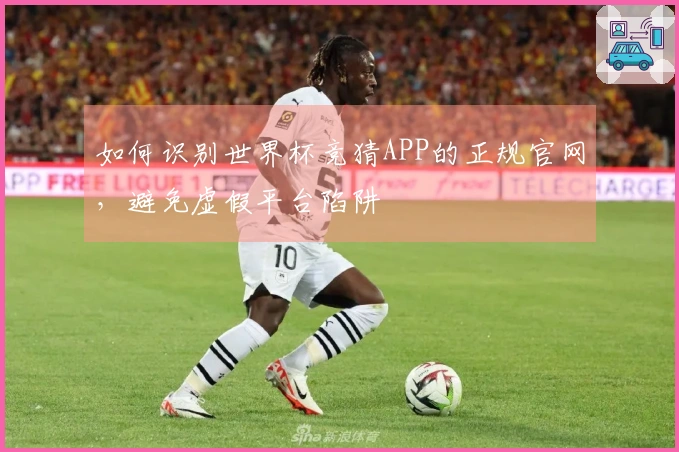 如何识别世界杯竞猜APP的正规官网,避免虚假平台陷阱