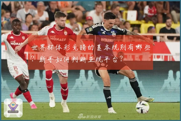 世界杯体彩竞猜的基本规则有哪些？新手如何判断正规平台？