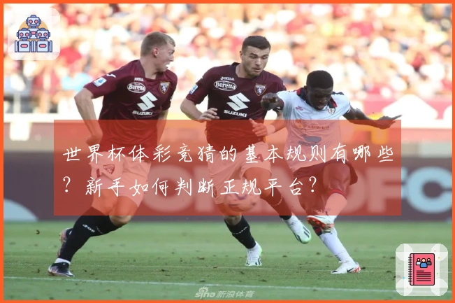 世界杯体彩竞猜的基本规则有哪些？新手如何判断正规平台？