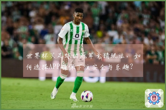 世界杯买足球的冠军竞猜玩法，如何选择APP确保下注安全与乐趣？